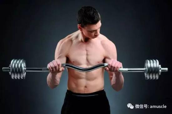 负重双杠臂屈伸和三头臂屈伸巨人组