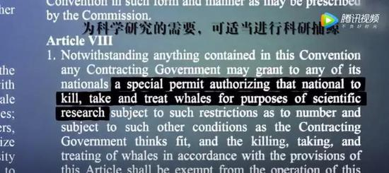 （图为公约部分内容，其中提到，可以为科学研究需要适当捕鲸 图源：瞭望财视客）