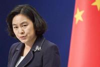 中国扣押加公民威胁全球?华春莹:为民除害