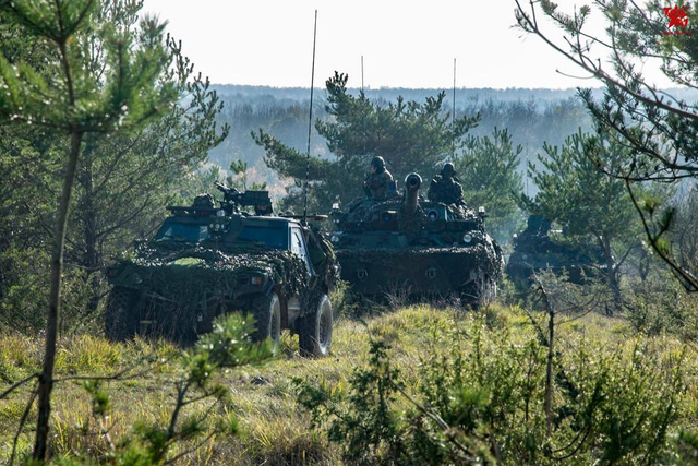 比我军新安防车咋样？法国陆军演习出动装甲车