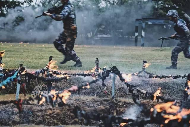 不逊美军海豹突击队！中国海军陆战队训练猛图