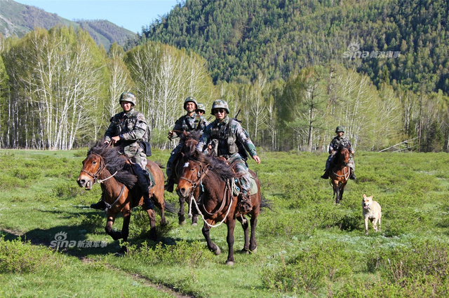 中国最后的骑兵!解放军骑兵部队还是相当帅气