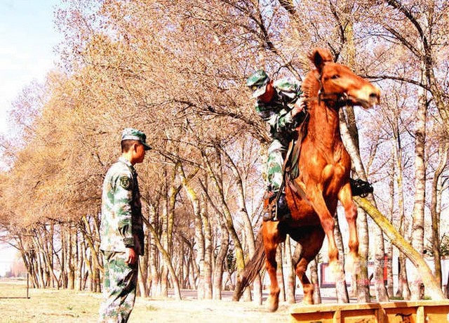 中国最后的骑兵!解放军骑兵部队还是相当帅气