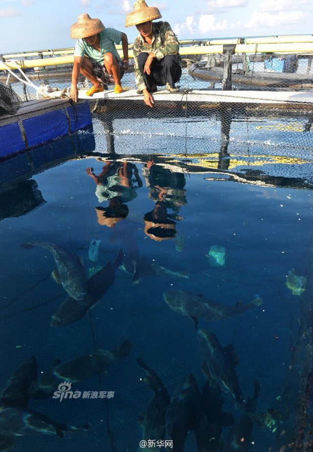 南海再掀风浪!美军驱逐舰24日进我岛礁12海里