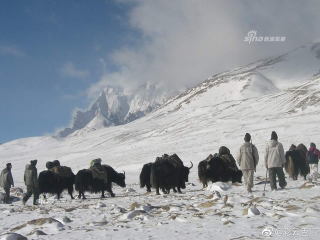 印度组建山地部队针对中国:在高原雪地中训练