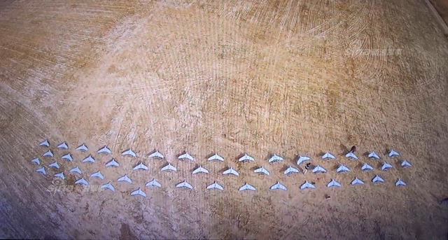 解放军展示无人机蜂群的图解：可摧毁航空母舰