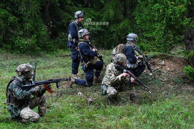 练习怎么被毛子爆锤？乌克兰军队赴德与德美一起演习