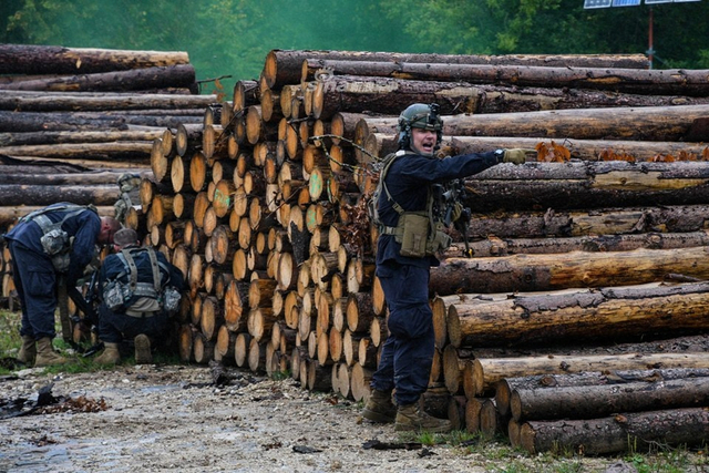 练习怎么被毛子爆锤？乌克兰军队赴德与德美一起演习