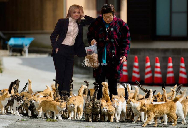 佳人风采依旧！前检察长娜塔莉亚在普京就职典礼上火了
