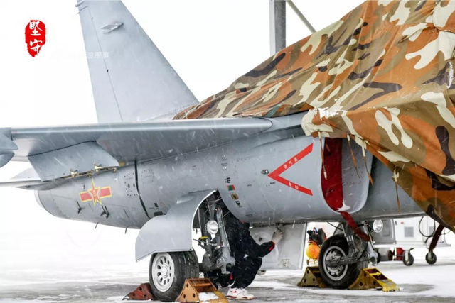 能当舰载教练机？洪都航空L-15教练机冬日猛“产崽”