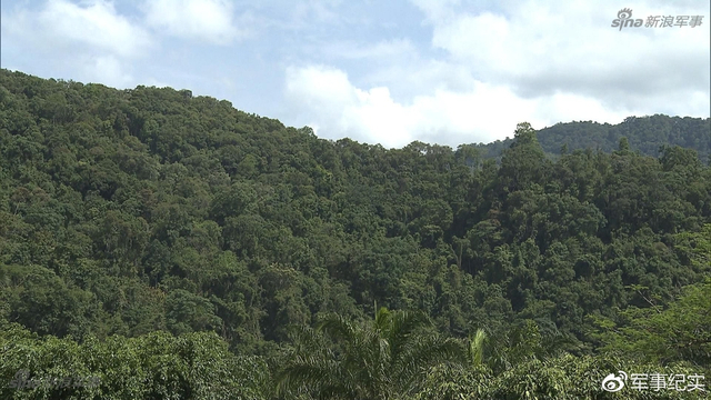 袋鼠竟然也懂美食!澳大利亚女兵掌勺做中国菜