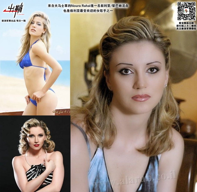 弯弓射飞无远近:从叙利亚误击俄军机谈我军防空导弹体系转型