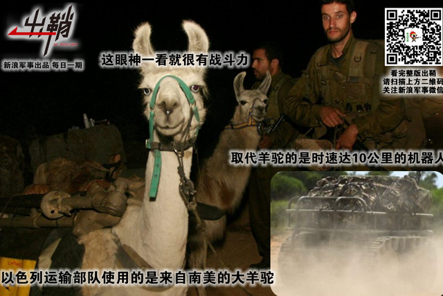 纷纷百兽俱驯伏:中国军队与“动物士兵”的那些事儿