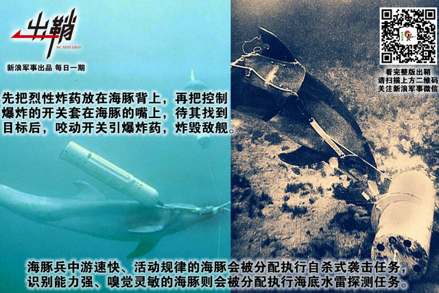 纷纷百兽俱驯伏:中国军队与“动物士兵”的那些事儿