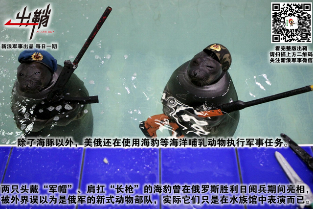 纷纷百兽俱驯伏:中国军队与“动物士兵”的那些事儿