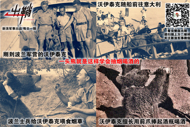 纷纷百兽俱驯伏:中国军队与“动物士兵”的那些事儿