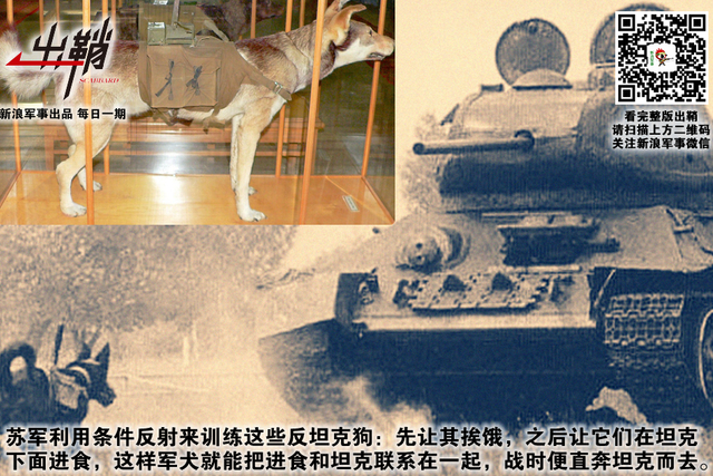 纷纷百兽俱驯伏:中国军队与“动物士兵”的那些事儿