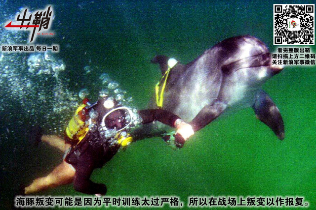 纷纷百兽俱驯伏:中国军队与“动物士兵”的那些事儿