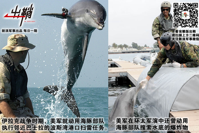 纷纷百兽俱驯伏:中国军队与“动物士兵”的那些事儿