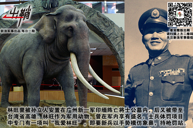 纷纷百兽俱驯伏:中国军队与“动物士兵”的那些事儿