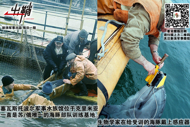 纷纷百兽俱驯伏:中国军队与“动物士兵”的那些事儿