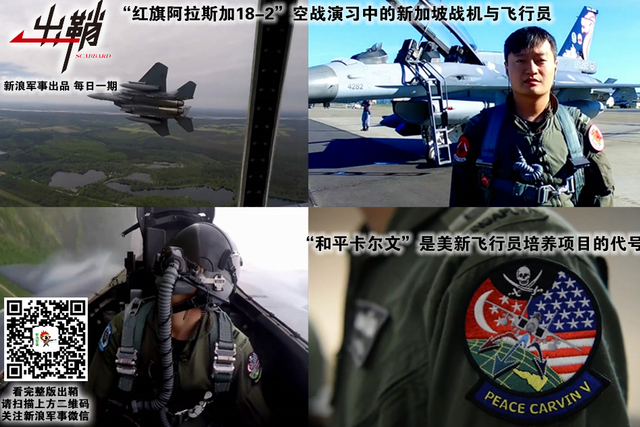 信口道出惊天地:如何看待新加坡防长谈要“买”歼20