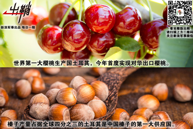 毡车万里随单于：对美国说“不”土耳其有啥对抗的“本钱”?