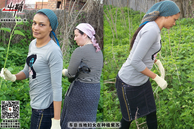 禄山宫里养作儿：从卡德罗夫谈中国当如何在车臣战略布局