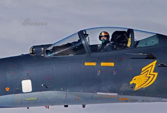 歼20迷彩才是爆款!中国空军各型战斗机涂装大盘点