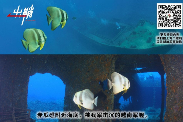 三十功名尘与土:三·一四海战胜利30周年再回眸