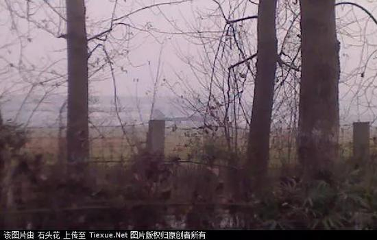 2010年10月23日，铁血论坛“石头花”发布的首张歼-20“爬墙照”