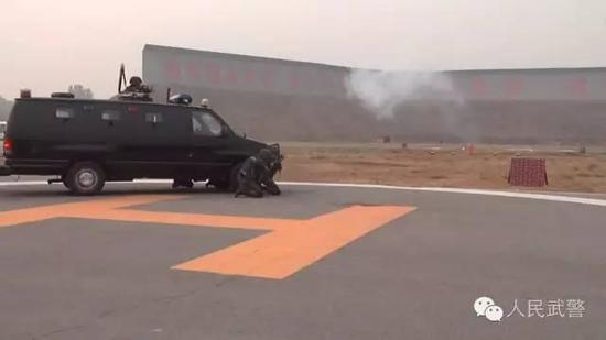 在队伍的最前面，联合反恐训练领队刘志军带领参训官兵面向军旗，庄严宣誓。