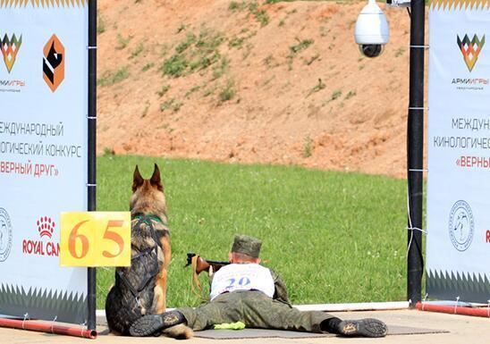 俄罗斯参赛选手正在进行卧姿射击，射击竞赛中要求军犬静静地看着训导员开枪
