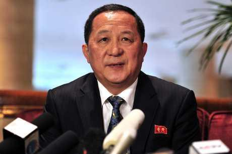 朝鲜外务相李勇浩（资料图）