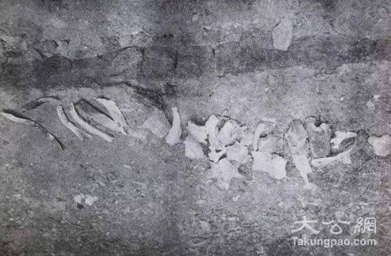 　　第100部队掩埋场里混在一起的人骨和马骨。资料图片