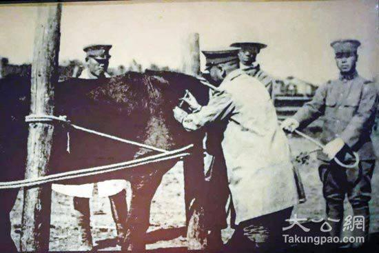 　　第100部队技术人员为实验用马注射炭疽疫苗。资料图片