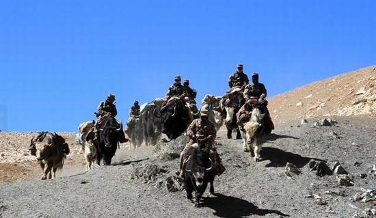 牦牛是边防军人的好朋友