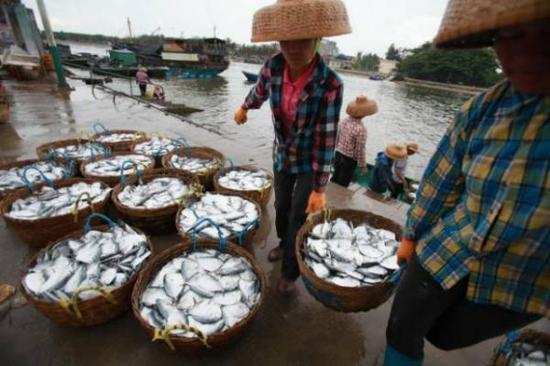 图片由潭门镇政府提供