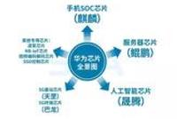 华为面对美国打压能否扛得住?张召忠这样解读