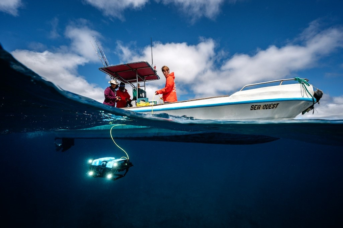 查尔斯・达尔文基金会（Charles Darwin Foundation）的莎乐美・布格拉斯（Salome Buglass）和同事在2022年的蓝色加拉帕戈斯探险任务中部署了一辆遥控潜水器（ROV），以寻找可能是科学界新发现的深海海带。© Rolex/Franck Gazzola