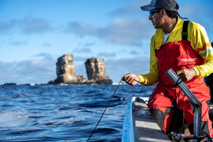 曼努埃尔・耶佩斯（Manuel Yepez）是“蓝色使命”计划加拉帕戈斯群岛“希望点”的联合大使，是保护海洋关键区域计划的领军人物。他试图在著名的达尔文拱门附近诱捕并标记一条虎鲨。© Rolex/Franck Gazzola