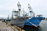 日本退出国际捕鲸委员会 重启商业捕鲸