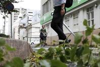 台风“罗莎”登陆日本广岛致1死21伤 大树被连根拔起