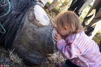 暖化！犀牛被锯掉牛角 小女孩献吻