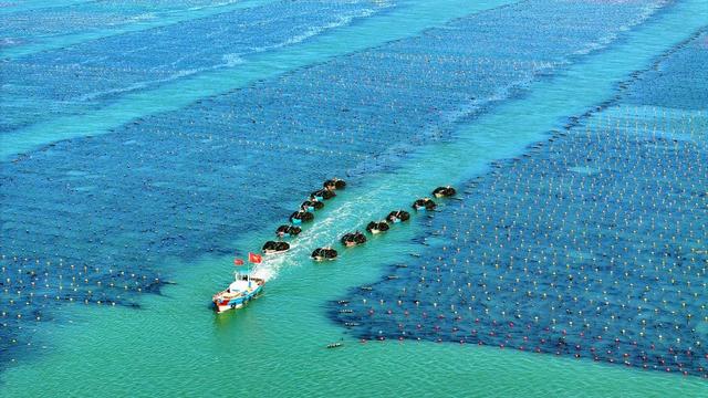 山东威海：以海为田开辟“蓝色经济”新途径