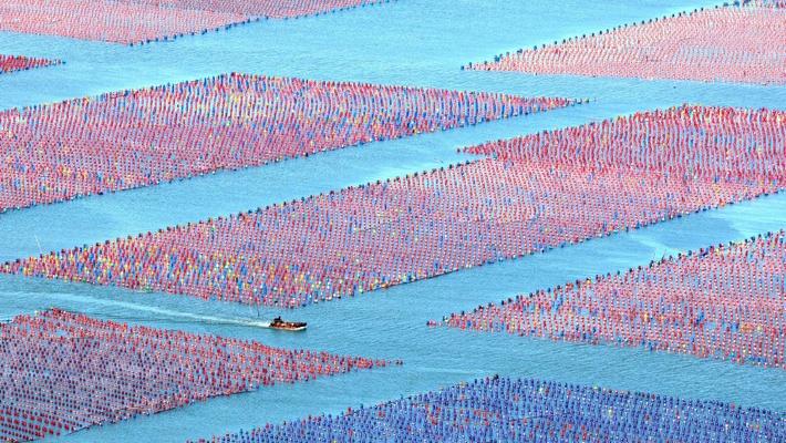 福建霞浦：“海上牧场” 彩色浮漂交相辉映