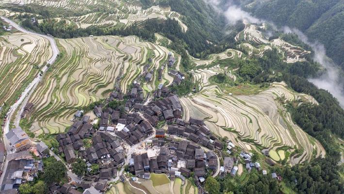 贵州黔东南州：乡村梯田层层叠叠