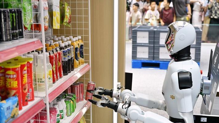 2025世界机器人大会 各式机器人展现科技魅力