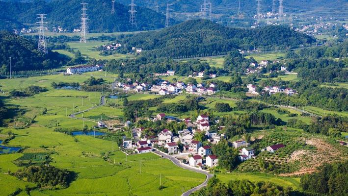 安徽芜湖：初秋时节稻田泛黄 一片好“丰”景