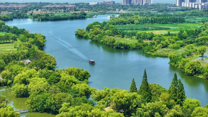浙江长兴：游船穿行夏日荷塘宛如画中游
